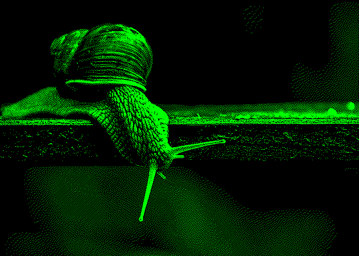 A close-up of a snail crawling on the edge of a wooden surface.